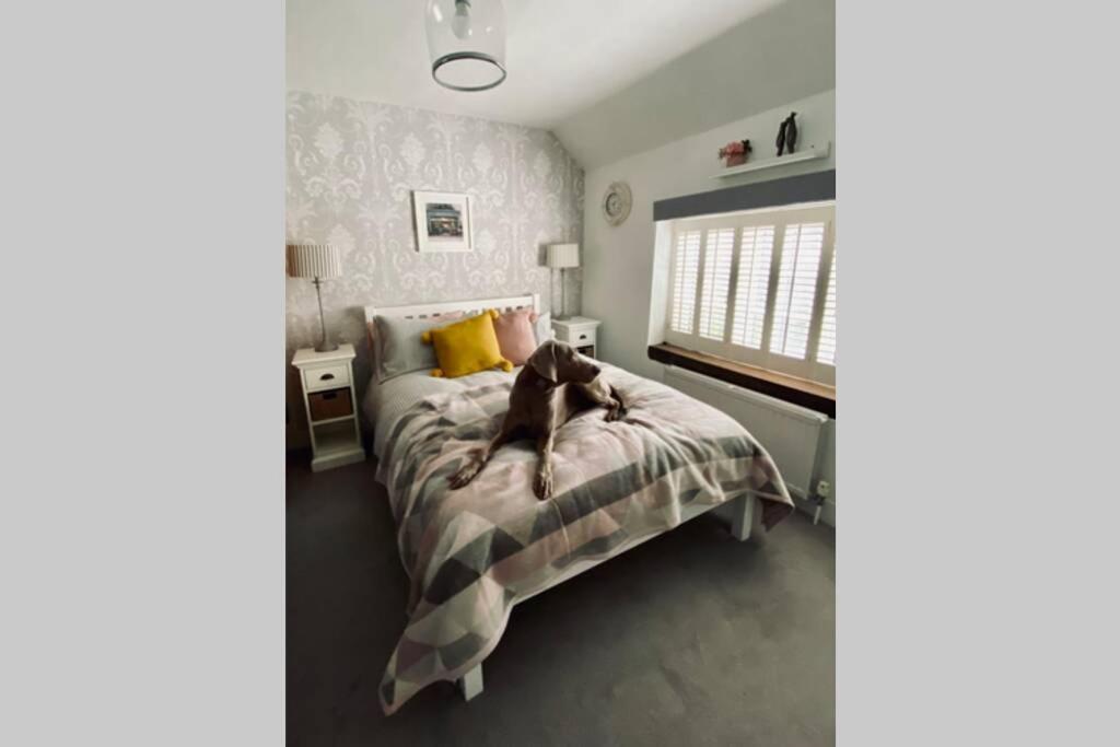 Angel Cottage, Boxgrove, Chichester - Relax And Unwind 外观 照片